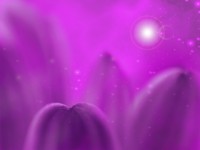 /album/photo-gallery-ljubov-i-romantika/love-and-romance-wallpapers-006-jpg/